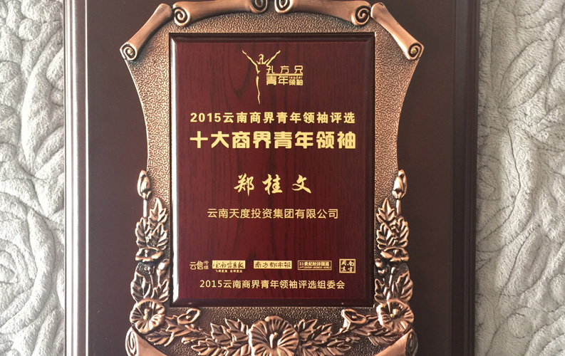 在“互聯(lián)網(wǎng)大時(shí)代”的背景下，天度作為本土很大和很有名的互聯(lián)網(wǎng)服務(wù)企業(yè)，為近萬(wàn)家傳統企業(yè)轉型互聯(lián)網(wǎng)+提供了服務(wù)和幫助，獲此獎項后，我們將再接再厲，創(chuàng  )造更高的社會(huì )價(jià)值